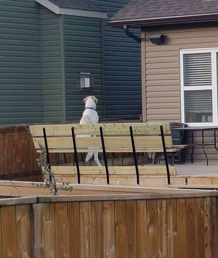 50 Neighbours Who Made The Neighbourhood More Interesting