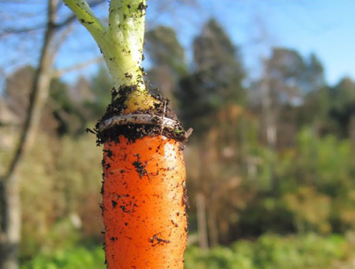 50 Unbelievable Stories Of People Finding Things They Thought They Lost Forever 50 Unbelievable Stories Of People Finding Things They Thought They Lost Forever