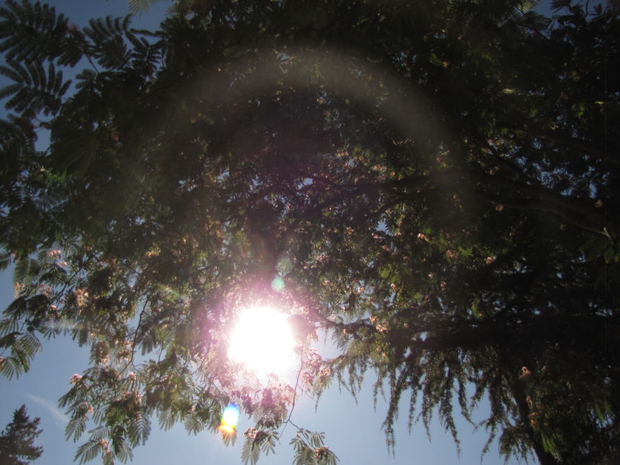 I Photographed The Solar Eclipse