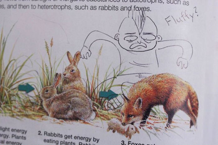 86 Examples Of Genius Textbook Vandalism By Bored Students That Can Almost Be Forgiven