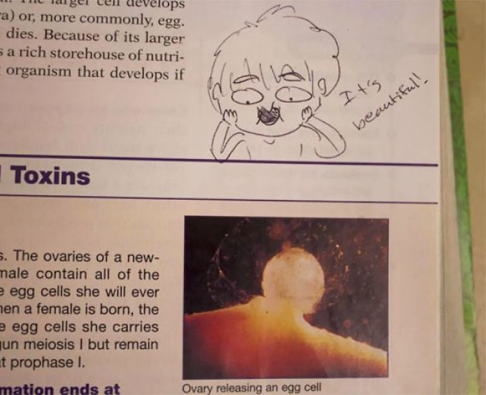 86 Examples Of Genius Textbook Vandalism By Bored Students That Can Almost Be Forgiven