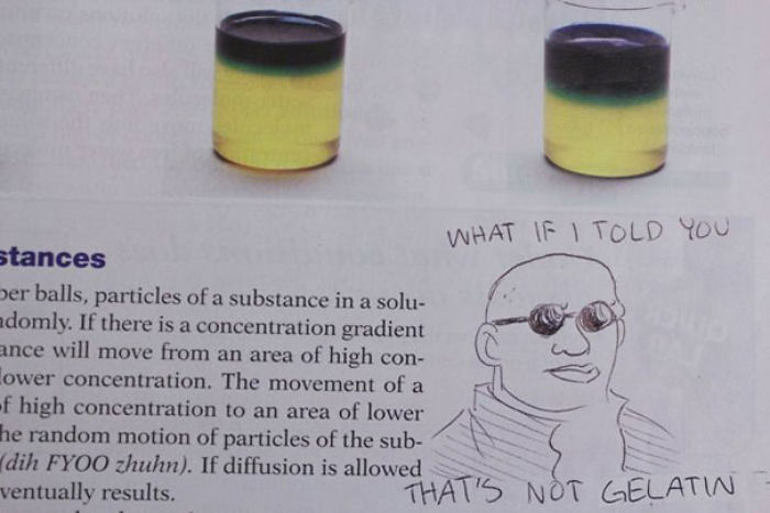 86 Examples Of Genius Textbook Vandalism By Bored Students That Can Almost Be Forgiven