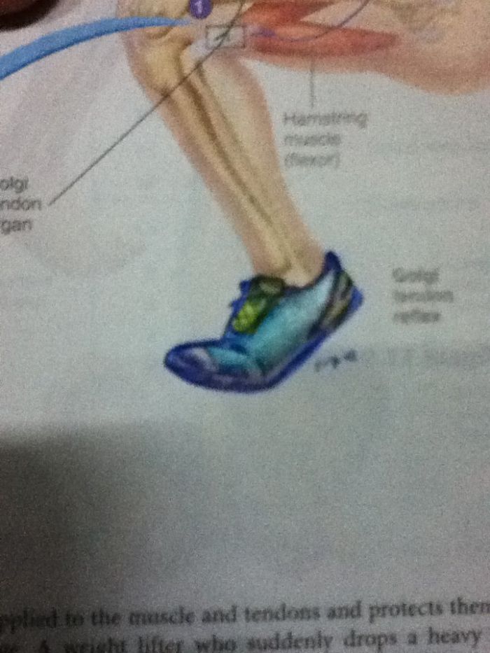 86 Examples Of Genius Textbook Vandalism By Bored Students That Can Almost Be Forgiven