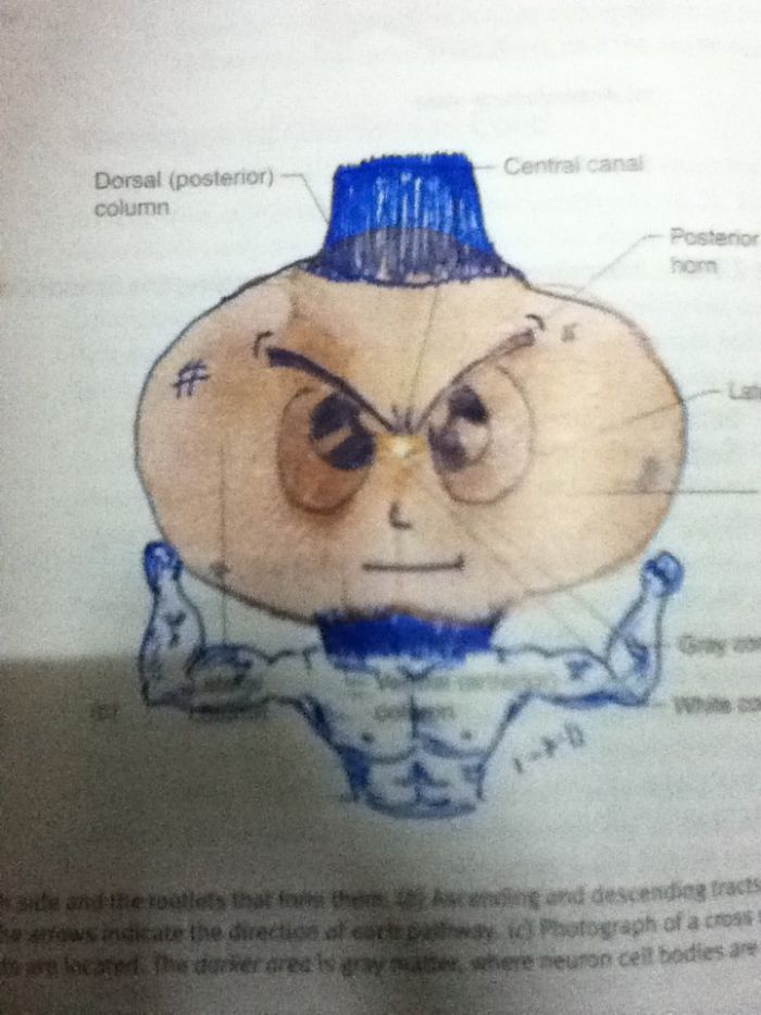 86 Examples Of Genius Textbook Vandalism By Bored Students That Can Almost Be Forgiven