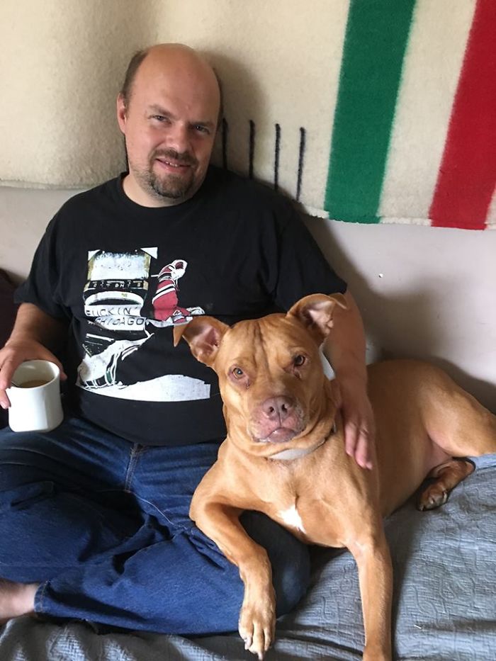 Post Pictures Of LARGE Dogs That Still Think They’re Lap Dogs Post Pictures Of LARGE Dogs That Still Think They’re Lap Dogs