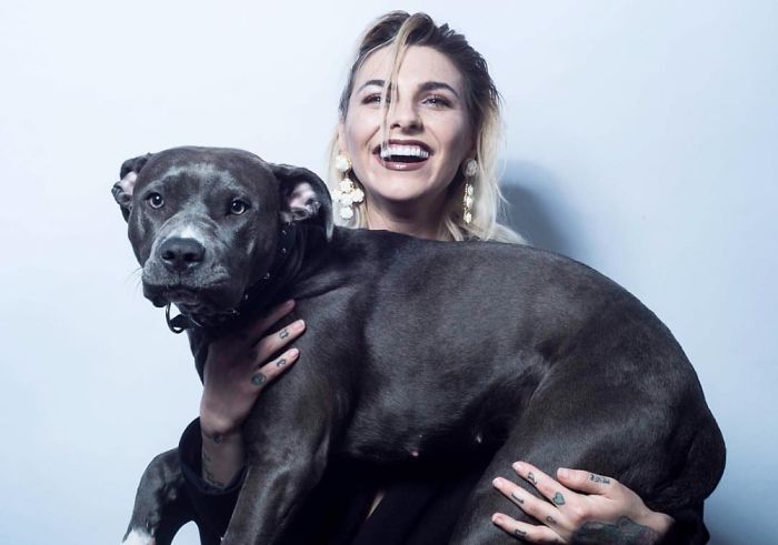 Post Pictures Of LARGE Dogs That Still Think They’re Lap Dogs Post Pictures Of LARGE Dogs That Still Think They’re Lap Dogs