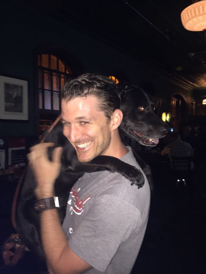 Post Pictures Of LARGE Dogs That Still Think They’re Lap Dogs Post Pictures Of LARGE Dogs That Still Think They’re Lap Dogs