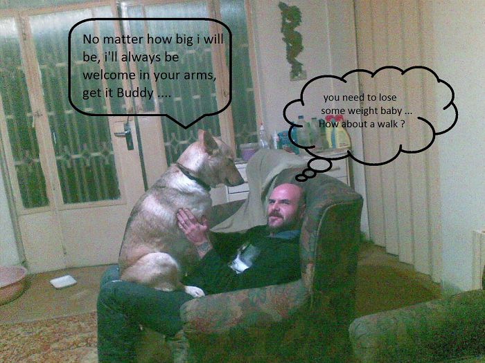 Post Pictures Of LARGE Dogs That Still Think They’re Lap Dogs Post Pictures Of LARGE Dogs That Still Think They’re Lap Dogs