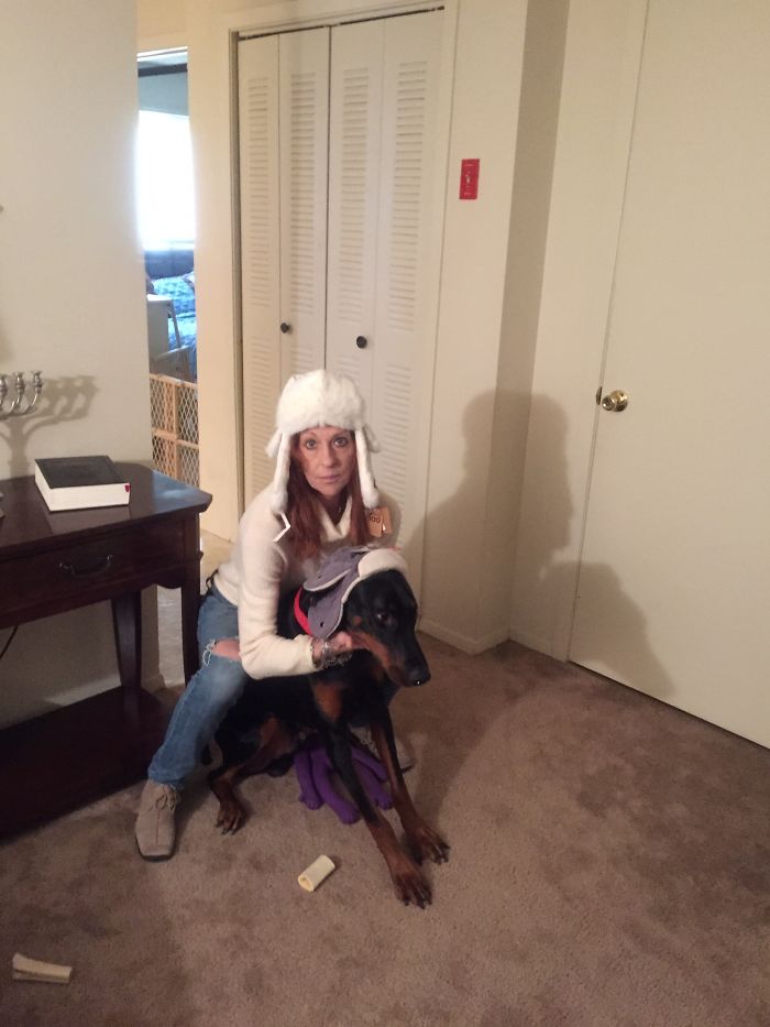 Post Pictures Of LARGE Dogs That Still Think They’re Lap Dogs Post Pictures Of LARGE Dogs That Still Think They’re Lap Dogs