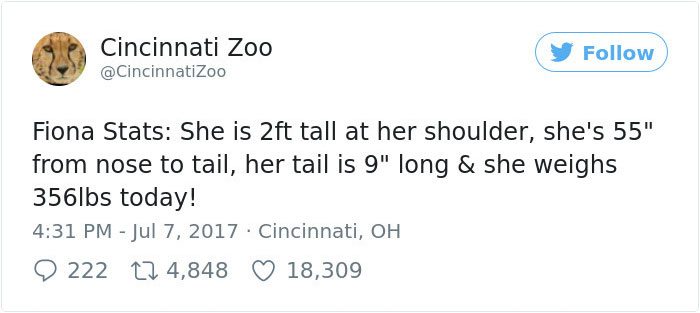 Fiona The Hippo Playing In The Water Will Make Your Day In Just 81 Seconds Fiona The Hippo Playing In The Water Will Make Your Day In Just 81 Seconds