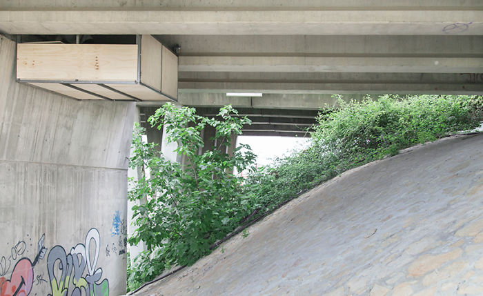 Designer Stuns Everyone In The World By Building A Secret Studio Beneath A Busy Bridge In Valencia