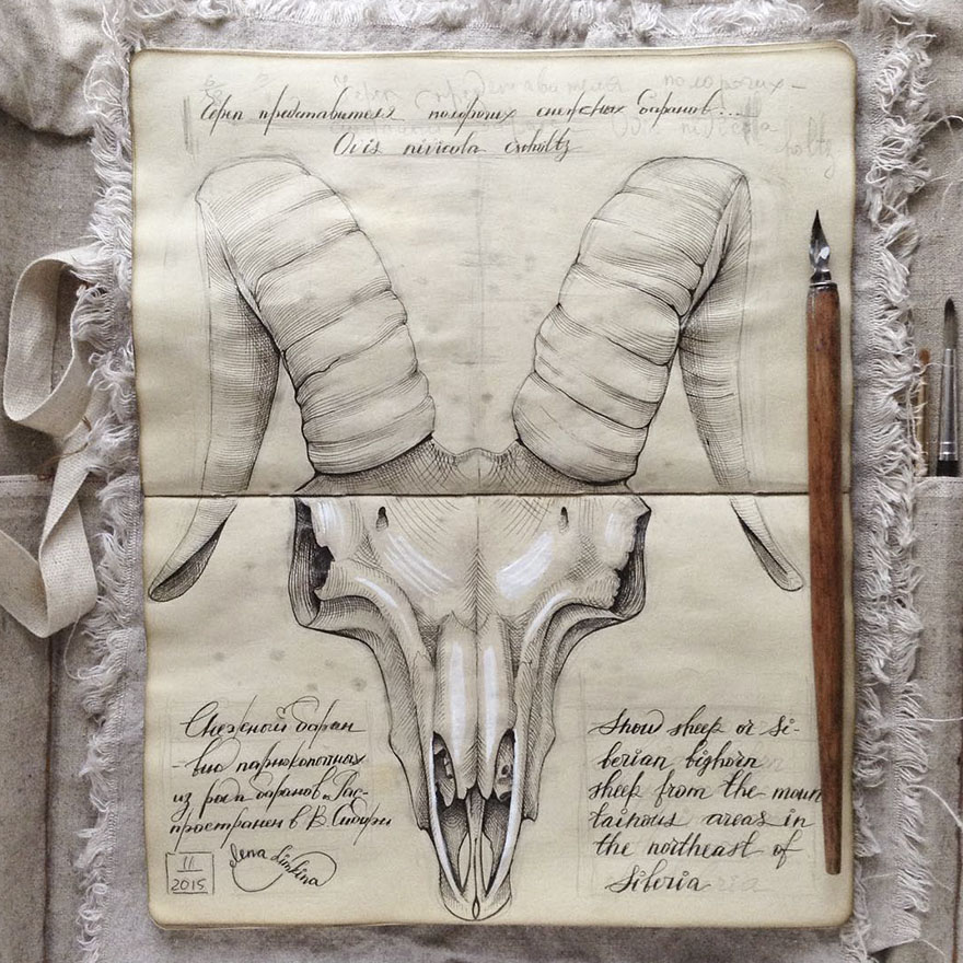 Russian Artist Reveals Her Mysterious Sketchbook To The World, And It’s Full Of Visual Secrets Russian Artist Reveals Her Mysterious Sketchbook To The World, And It’s Full Of Visual Secrets