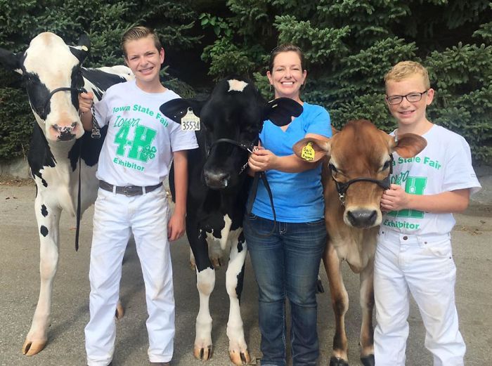 Tired Boy And His Cow Lose Out At Dairy Fair, Fall Asleep And Win The Internet