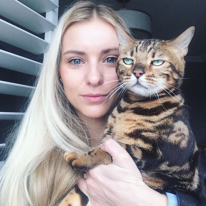68 Times Cats Didn’t Want To Be In Your Stupid Selfies And The Result Was Hilarious 68 Times Cats Didn’t Want To Be In Your Stupid Selfies And The Result Was Hilarious