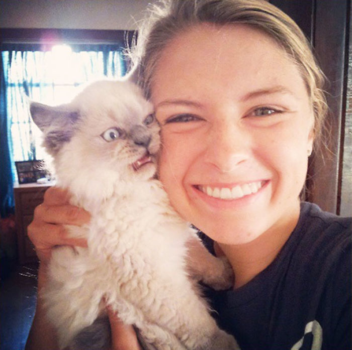 68 Times Cats Didn’t Want To Be In Your Stupid Selfies And The Result Was Hilarious 68 Times Cats Didn’t Want To Be In Your Stupid Selfies And The Result Was Hilarious