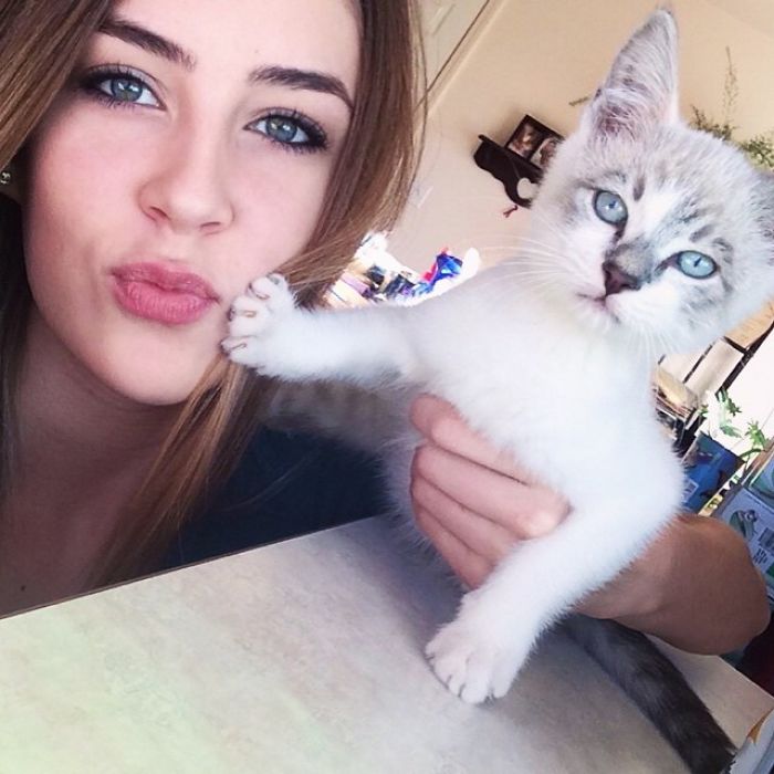 68 Times Cats Didn’t Want To Be In Your Stupid Selfies And The Result Was Hilarious 68 Times Cats Didn’t Want To Be In Your Stupid Selfies And The Result Was Hilarious