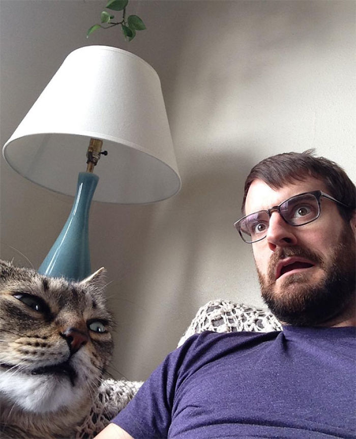 68 Times Cats Didn’t Want To Be In Your Stupid Selfies And The Result Was Hilarious 68 Times Cats Didn’t Want To Be In Your Stupid Selfies And The Result Was Hilarious