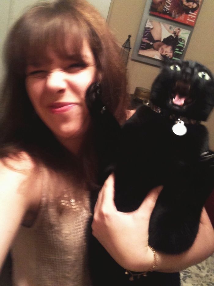 68 Times Cats Didn’t Want To Be In Your Stupid Selfies And The Result Was Hilarious 68 Times Cats Didn’t Want To Be In Your Stupid Selfies And The Result Was Hilarious