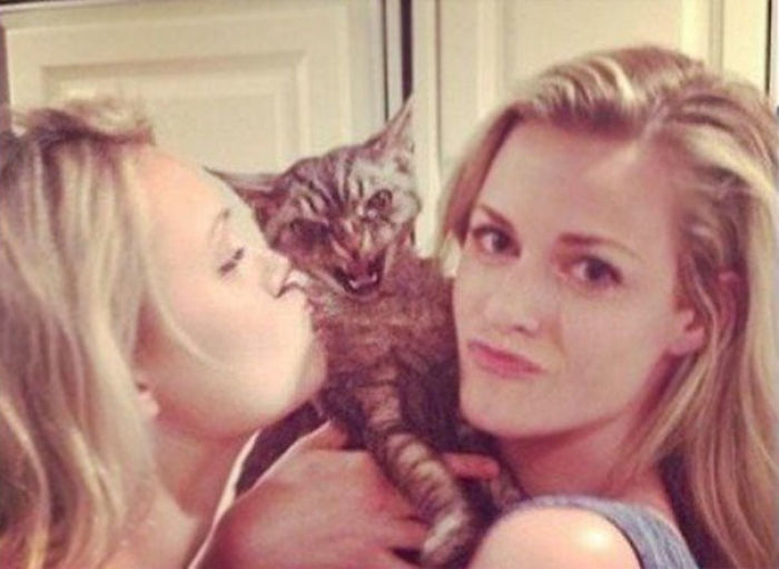 68 Times Cats Didn’t Want To Be In Your Stupid Selfies And The Result Was Hilarious 68 Times Cats Didn’t Want To Be In Your Stupid Selfies And The Result Was Hilarious