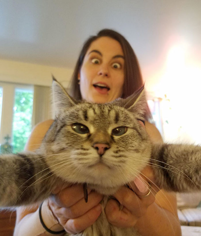 68 Times Cats Didn’t Want To Be In Your Stupid Selfies And The Result Was Hilarious 68 Times Cats Didn’t Want To Be In Your Stupid Selfies And The Result Was Hilarious