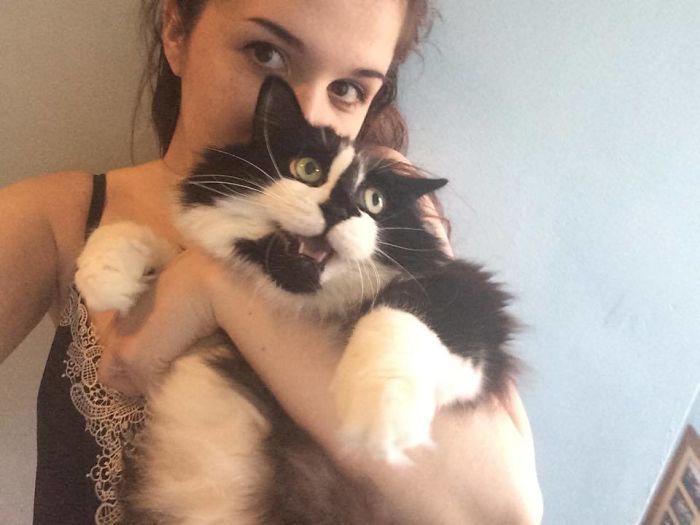 68 Times Cats Didn’t Want To Be In Your Stupid Selfies And The Result Was Hilarious 68 Times Cats Didn’t Want To Be In Your Stupid Selfies And The Result Was Hilarious