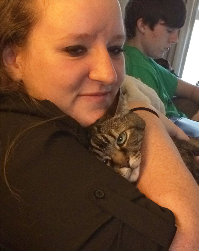 68 Times Cats Didn’t Want To Be In Your Stupid Selfies And The Result Was Hilarious 68 Times Cats Didn’t Want To Be In Your Stupid Selfies And The Result Was Hilarious