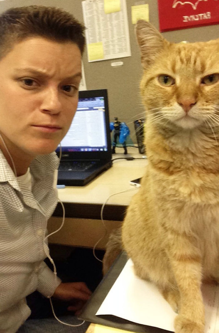 68 Times Cats Didn’t Want To Be In Your Stupid Selfies And The Result Was Hilarious 68 Times Cats Didn’t Want To Be In Your Stupid Selfies And The Result Was Hilarious