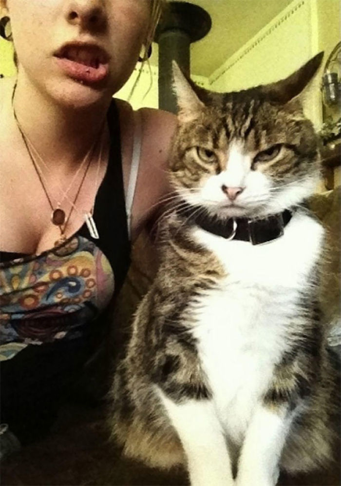 68 Times Cats Didn’t Want To Be In Your Stupid Selfies And The Result Was Hilarious 68 Times Cats Didn’t Want To Be In Your Stupid Selfies And The Result Was Hilarious