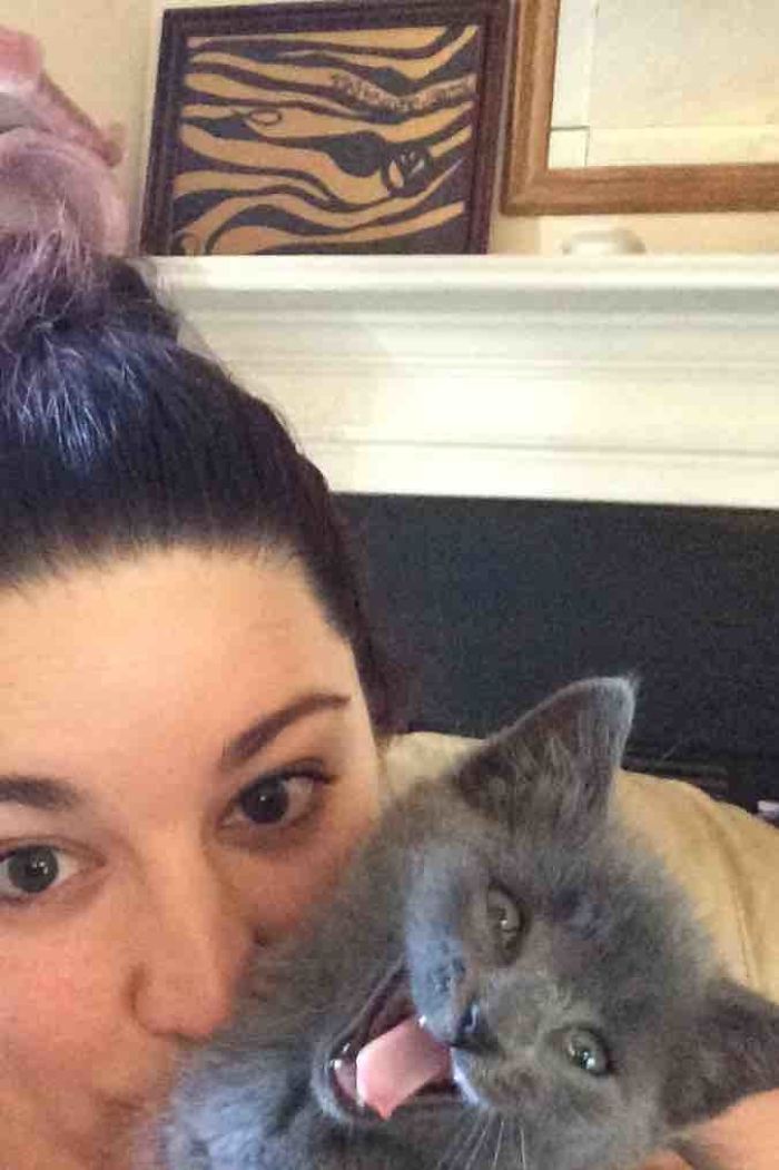 68 Times Cats Didn’t Want To Be In Your Stupid Selfies And The Result Was Hilarious 68 Times Cats Didn’t Want To Be In Your Stupid Selfies And The Result Was Hilarious