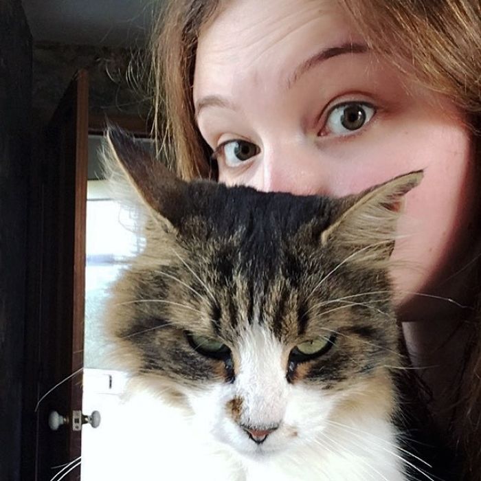 68 Times Cats Didn’t Want To Be In Your Stupid Selfies And The Result Was Hilarious 68 Times Cats Didn’t Want To Be In Your Stupid Selfies And The Result Was Hilarious