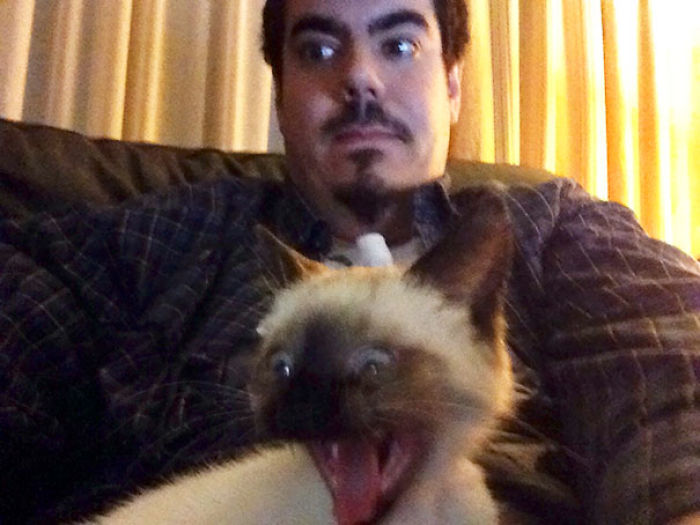 68 Times Cats Didn’t Want To Be In Your Stupid Selfies And The Result Was Hilarious 68 Times Cats Didn’t Want To Be In Your Stupid Selfies And The Result Was Hilarious