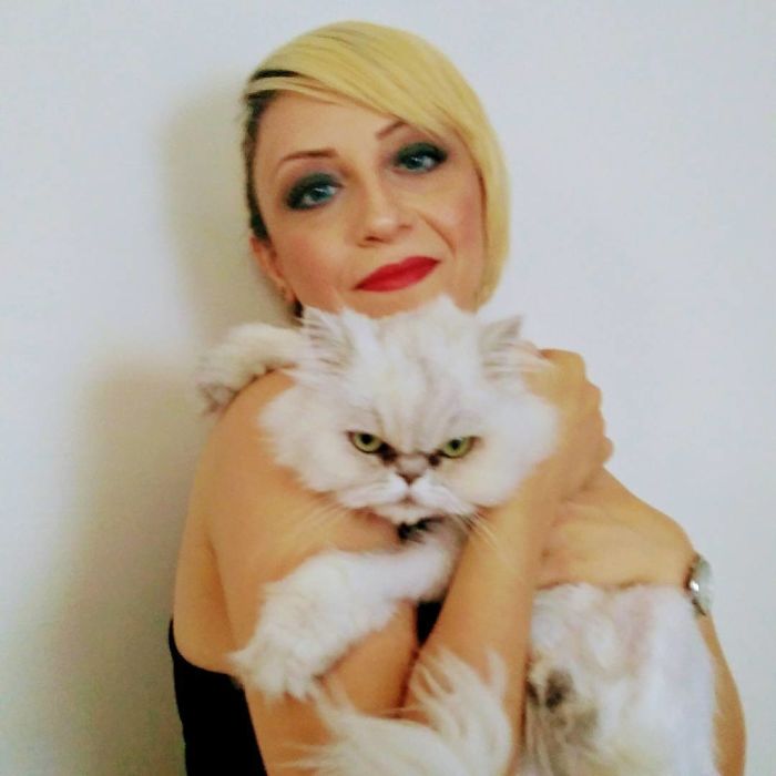 68 Times Cats Didn’t Want To Be In Your Stupid Selfies And The Result Was Hilarious 68 Times Cats Didn’t Want To Be In Your Stupid Selfies And The Result Was Hilarious