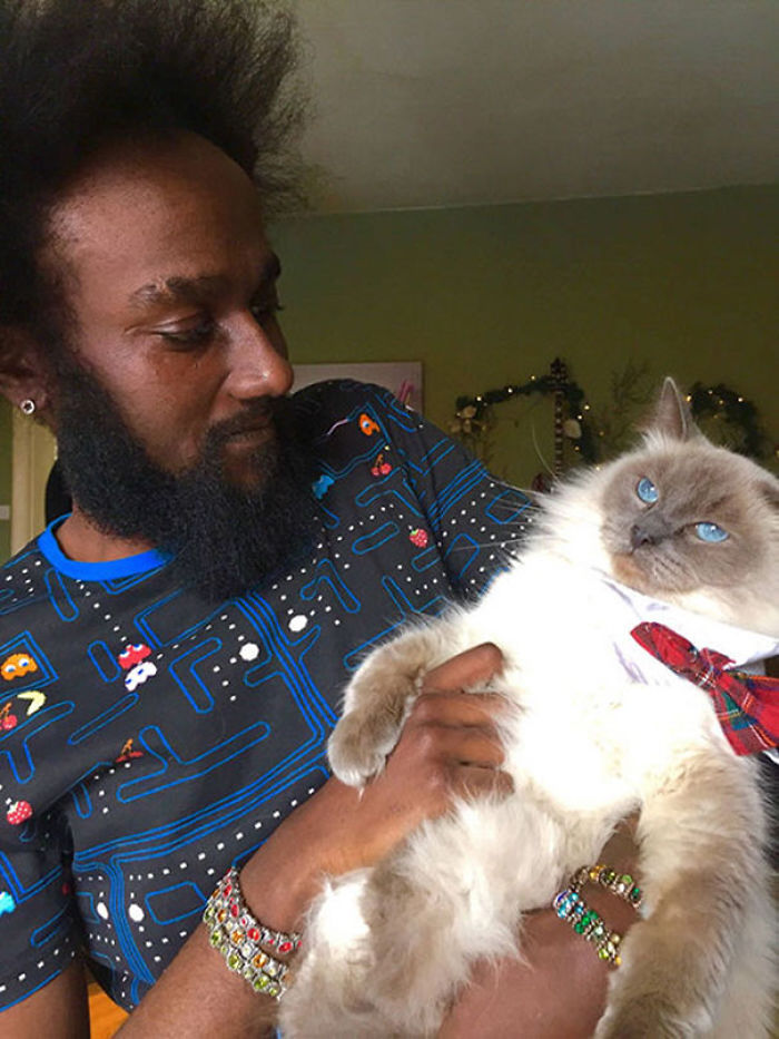 68 Times Cats Didn’t Want To Be In Your Stupid Selfies And The Result Was Hilarious 68 Times Cats Didn’t Want To Be In Your Stupid Selfies And The Result Was Hilarious