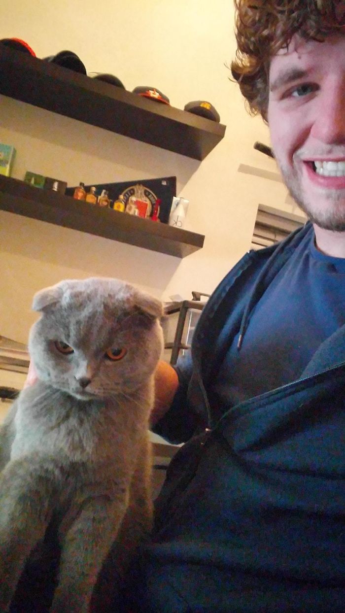 68 Times Cats Didn’t Want To Be In Your Stupid Selfies And The Result Was Hilarious 68 Times Cats Didn’t Want To Be In Your Stupid Selfies And The Result Was Hilarious