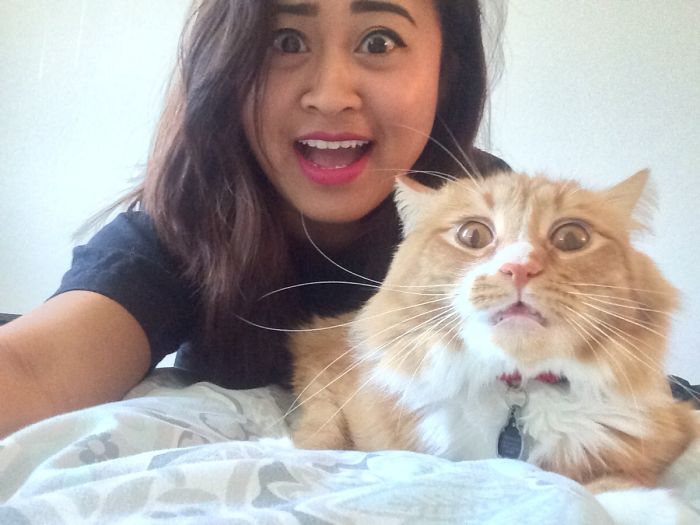 68 Times Cats Didn’t Want To Be In Your Stupid Selfies And The Result Was Hilarious 68 Times Cats Didn’t Want To Be In Your Stupid Selfies And The Result Was Hilarious