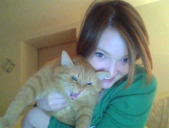 68 Times Cats Didn’t Want To Be In Your Stupid Selfies And The Result Was Hilarious 68 Times Cats Didn’t Want To Be In Your Stupid Selfies And The Result Was Hilarious