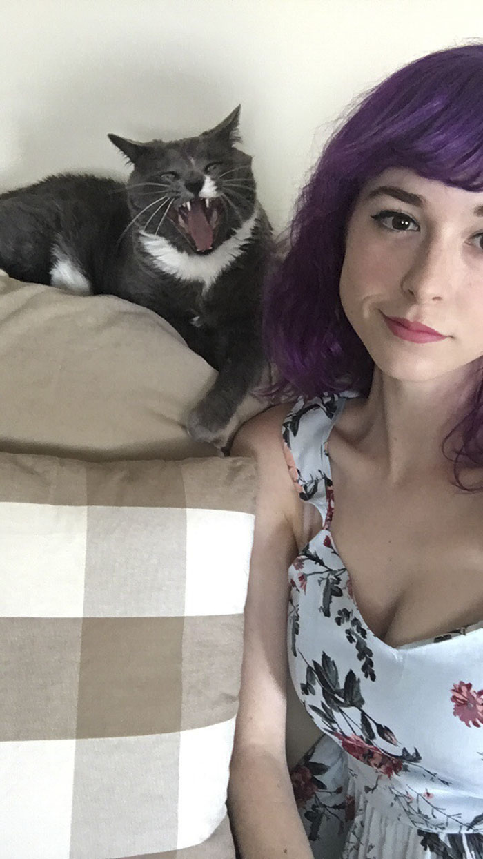 68 Times Cats Didn’t Want To Be In Your Stupid Selfies And The Result Was Hilarious 68 Times Cats Didn’t Want To Be In Your Stupid Selfies And The Result Was Hilarious