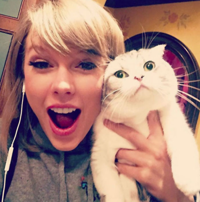 68 Times Cats Didn’t Want To Be In Your Stupid Selfies And The Result Was Hilarious 68 Times Cats Didn’t Want To Be In Your Stupid Selfies And The Result Was Hilarious