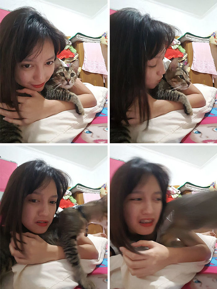 68 Times Cats Didn’t Want To Be In Your Stupid Selfies And The Result Was Hilarious 68 Times Cats Didn’t Want To Be In Your Stupid Selfies And The Result Was Hilarious