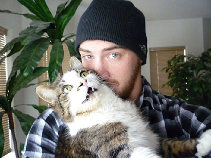 68 Times Cats Didn’t Want To Be In Your Stupid Selfies And The Result Was Hilarious 68 Times Cats Didn’t Want To Be In Your Stupid Selfies And The Result Was Hilarious