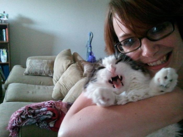 68 Times Cats Didn’t Want To Be In Your Stupid Selfies And The Result Was Hilarious 68 Times Cats Didn’t Want To Be In Your Stupid Selfies And The Result Was Hilarious
