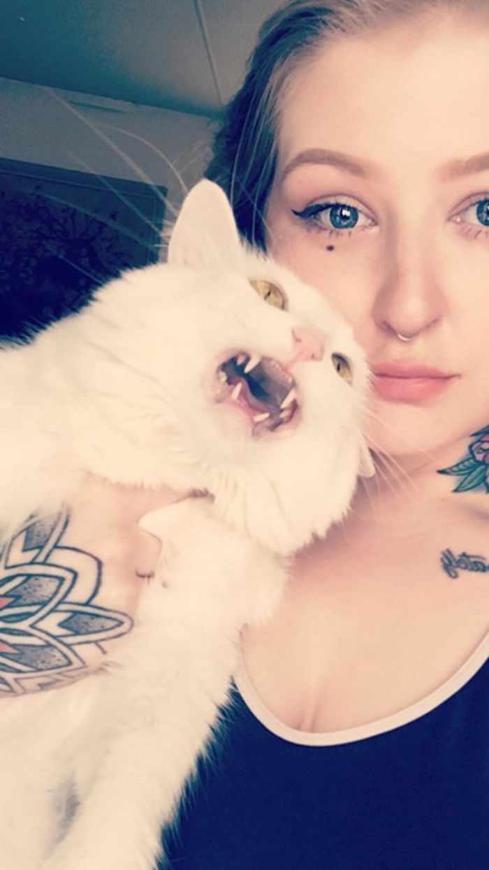 68 Times Cats Didn’t Want To Be In Your Stupid Selfies And The Result Was Hilarious 68 Times Cats Didn’t Want To Be In Your Stupid Selfies And The Result Was Hilarious