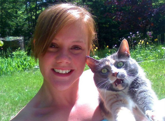 68 Times Cats Didn’t Want To Be In Your Stupid Selfies And The Result Was Hilarious 68 Times Cats Didn’t Want To Be In Your Stupid Selfies And The Result Was Hilarious
