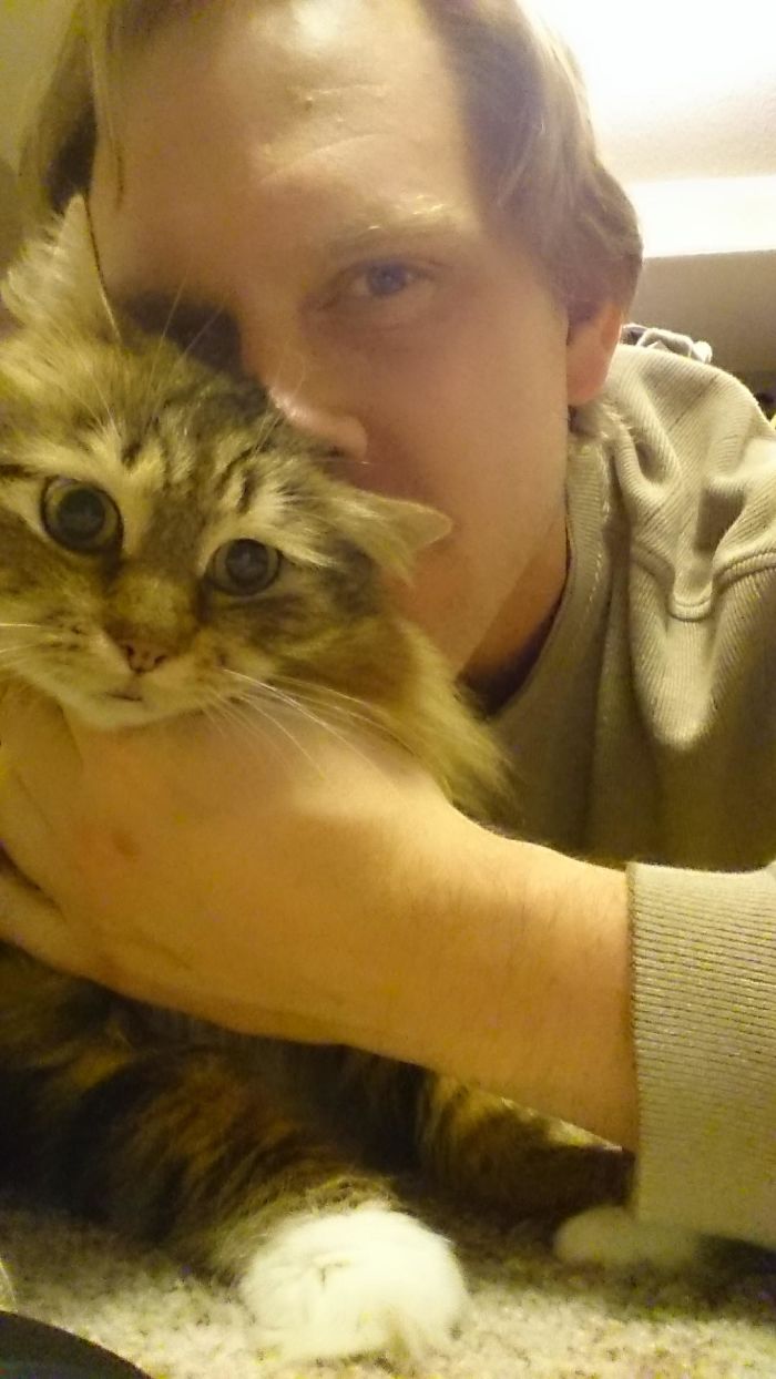 68 Times Cats Didn’t Want To Be In Your Stupid Selfies And The Result Was Hilarious 68 Times Cats Didn’t Want To Be In Your Stupid Selfies And The Result Was Hilarious