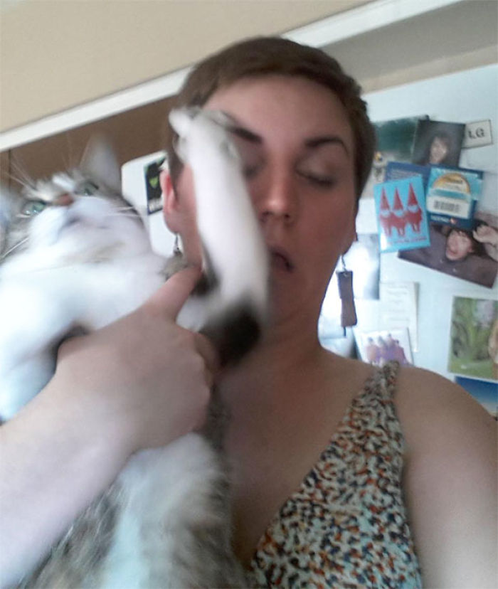 68 Times Cats Didn’t Want To Be In Your Stupid Selfies And The Result Was Hilarious 68 Times Cats Didn’t Want To Be In Your Stupid Selfies And The Result Was Hilarious