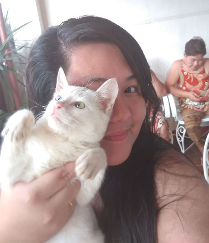 68 Times Cats Didn’t Want To Be In Your Stupid Selfies And The Result Was Hilarious 68 Times Cats Didn’t Want To Be In Your Stupid Selfies And The Result Was Hilarious