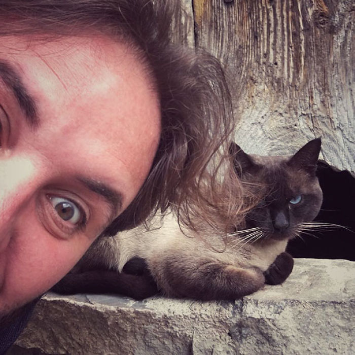 68 Times Cats Didn’t Want To Be In Your Stupid Selfies And The Result Was Hilarious 68 Times Cats Didn’t Want To Be In Your Stupid Selfies And The Result Was Hilarious