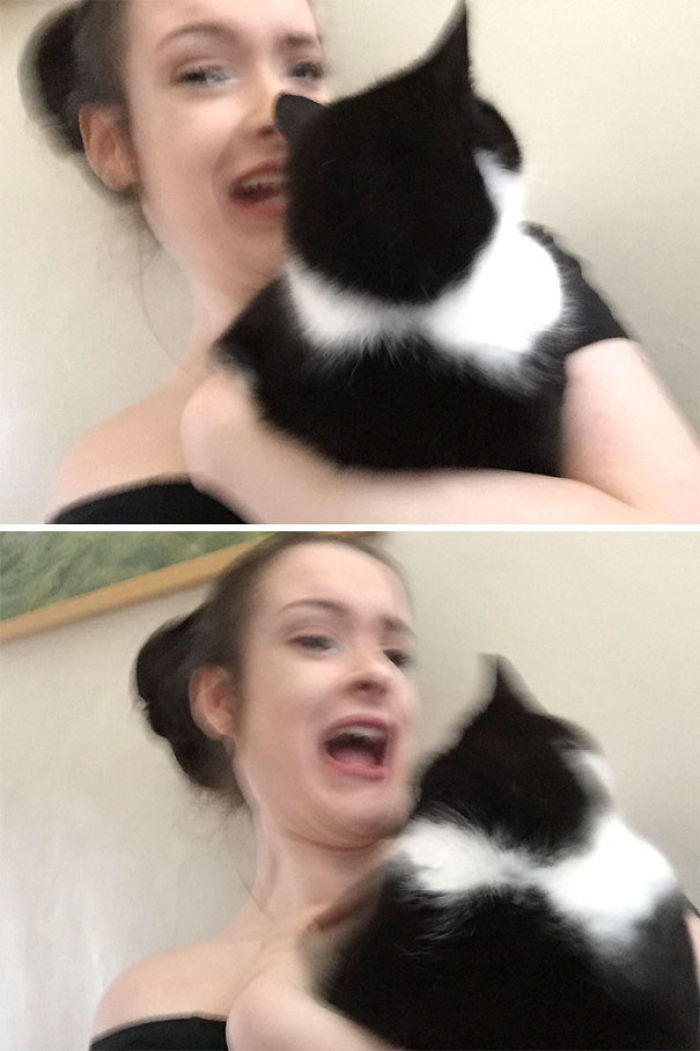 68 Times Cats Didn’t Want To Be In Your Stupid Selfies And The Result Was Hilarious 68 Times Cats Didn’t Want To Be In Your Stupid Selfies And The Result Was Hilarious