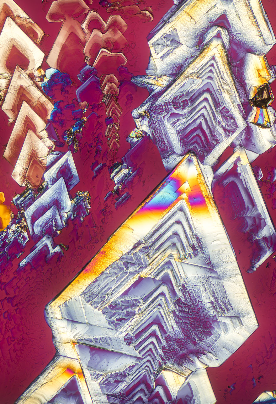 I’ve Spent The Past Year Photographing Crystalized Substances Through My Microscope I’ve Spent The Past Year Photographing Crystalized Substances Through My Microscope