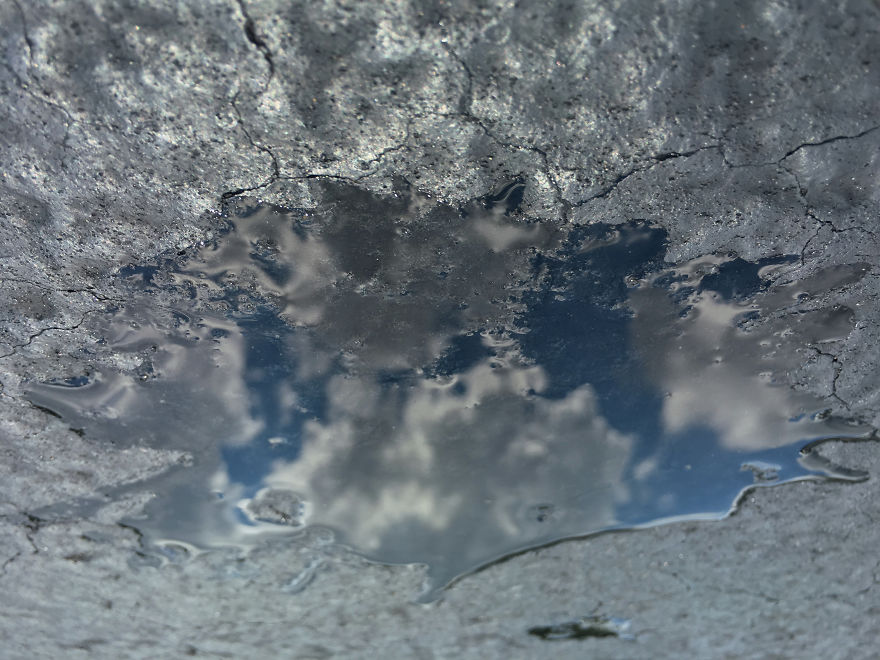 My Photography Captures Everyday Views Of Our World From Puddle Reflections My Photography Captures Everyday Views Of Our World From Puddle Reflections